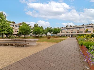 Picture 20